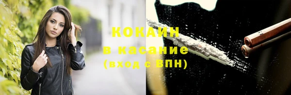 твердый Лагань