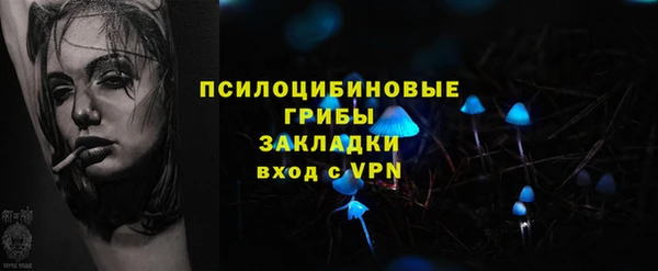 прущий лед Алексин