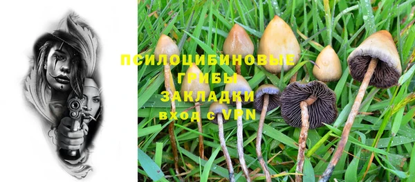 винт Алексеевка