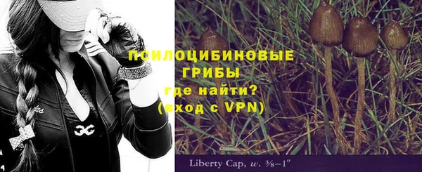 винт Алексеевка