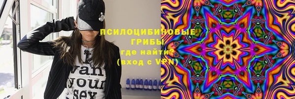 твердый Лагань
