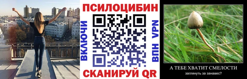 Псилоцибиновые грибы ЛСД  Подольск 